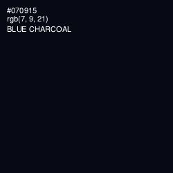 #070915 - Blue Charcoal Color Image